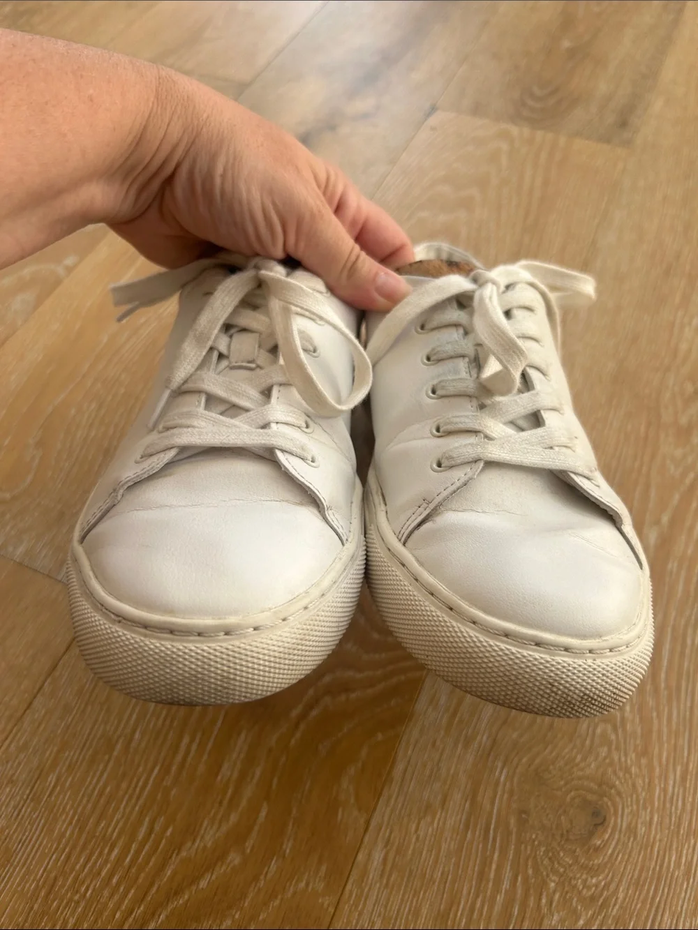 J. Crew Road Trip Leopard Calf Hair Low White Sneakers Size 9